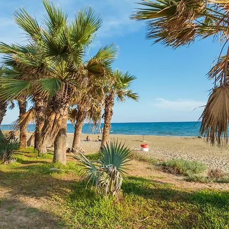 Beach Aloha * Larnaca